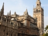 catedral3