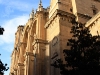 catedral4