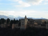 mirador4