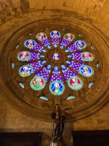 A rosácea vista de perto. Os detalhes são impressionantes!