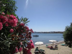 Detalhe de Figueretas ótima opção onde se hospedar em Ibiza